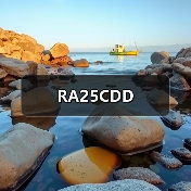 RA25CDD(图1) RA25CDD(图1)