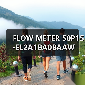 FLOW METER 50P15-EL2A1BA0BAAW(图1) FLOW METER 50P15-EL2A1BA0BAAW(图1)