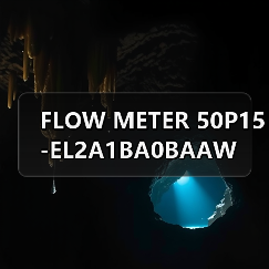 FLOW METER 50P15-EL2A1BA0BAAW(图2) FLOW METER 50P15-EL2A1BA0BAAW(图2)