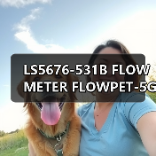 LS5676-531B FLOW METER FLOWPET-5G FLOWPET-EG(图1) LS5676-531B FLOW METER FLOWPET-5G FLOWPET-EG(图1)