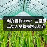 造船业盈利目标超额完成 业绩显著增长