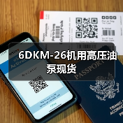 6DKM-26机用高压油泵现货(图1) 6DKM-26机用高压油泵现货(图1)