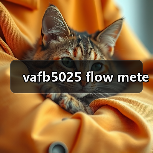 vafb5025 flow mete(图4) vafb5025 flow mete(图4)