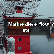 Marine diesel flow meter(图1) Marine diesel flow meter(图1)