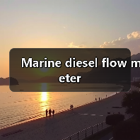Marine diesel flow meter(图2) Marine diesel flow meter(图2)