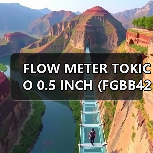 FLOW METER TOKICO 0.5 INCH (FGBB423BAL-04X) DN15(图2) FLOW METER TOKICO 0.5 INCH (FGBB423BAL-04X) DN15(图2)