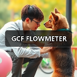 GCF FLOWMETER(图1) GCF FLOWMETER(图1)