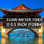 FLOW METER TOKICO 0.5 INCH (FGBB423BAL-04X) DN15(图4) FLOW METER TOKICO 0.5 INCH (FGBB423BAL-04X) DN15(图4)