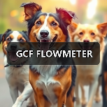 GCF FLOWMETER(图3) GCF FLOWMETER(图3)