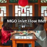 MGO inlet Flow Meter(图4) MGO inlet Flow Meter(图4)