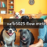 vafb5025 flow mete(图2) vafb5025 flow mete(图2)