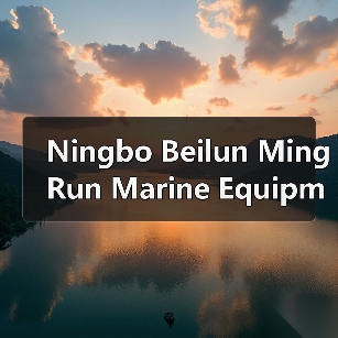 Ningbo Beilun Ming Run Marine Equipment Co. , Ltd. Production Flowmeters(图1) Ningbo Beilun Ming Run Marine Equipment Co. , Ltd. Production Flowmeters(图1)