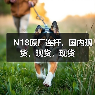 N18原厂连杆,国内现货,现货,现货(图2) N18原厂连杆,国内现货,现货,现货(图2)