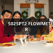 5025PT2 FLOWMETER(图1) 5025PT2 FLOWMETER(图1)