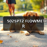 5025PT2 FLOWMETER(图3) 5025PT2 FLOWMETER(图3)