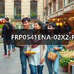 FRP0541ENA-02X2-F(图2) FRP0541ENA-02X2-F(图2)