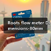 Roots flow meter Dimensions-80mm(图1) Roots flow meter Dimensions-80mm(图1)