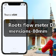 Roots flow meter Dimensions-80mm(图4) Roots flow meter Dimensions-80mm(图4)