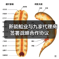 新能船业与九家代理商签署战略合作协议