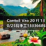 Contoil Vzo 20 Fl 130/25找李工13336686138邮箱:1154428321@qq.com(图3) Contoil Vzo 20 Fl 130/25找李工13336686138邮箱:1154428321@qq.com(图3)