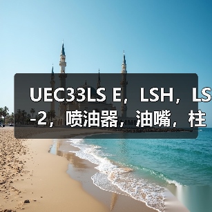 UEC33LS E,LSH,LS-2,喷油器,油嘴,柱塞,出油阀,高压油泵少量现货(图4) UEC33LS E,LSH,LS-2,喷油器,油嘴,柱塞,出油阀,高压油泵少量现货(图4)