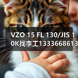 VZO 15 FL 130/JIS 10K找李工13336686138邮箱:1154428321@qq.com(图3) VZO 15 FL 130/JIS 10K找李工13336686138邮箱:1154428321@qq.com(图3)