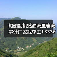 船舶副机燃油流量表流量计厂家找李工13336686138Email:mingrunship@163.com（图4）