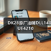 DK28原厂油嘴DLL140UE4210（图1）