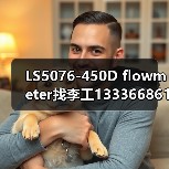 LS5076-450D flowmeter找李工13336686138(图1) LS5076-450D flowmeter找李工13336686138(图1)
