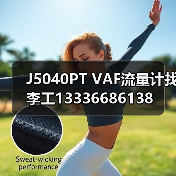 J5040PT VAF流量计找李工13336686138(图4) J5040PT VAF流量计找李工13336686138(图4)