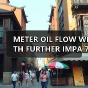 METER OIL FLOW WITH FURTHER IMPA 752531 M/E Cylinder Lubricator找李工13336686138（图2）