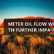 METER OIL FLOW WITH FURTHER IMPA 752531 M/E Cylinder Lubricator找李工13336686138（图3）