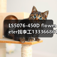 LS5076-450D flowmeter找李工13336686138(图2) LS5076-450D flowmeter找李工13336686138(图2)