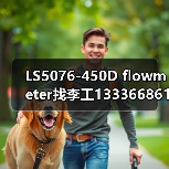 LS5076-450D flowmeter找李工13336686138(图4) LS5076-450D flowmeter找李工13336686138(图4)