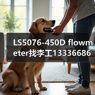 LS5076-450D flowmeter找李工13336686138(图3) LS5076-450D flowmeter找李工13336686138(图3)