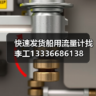 快速发货船用流量计找李工13336686138(图3) 快速发货船用流量计找李工13336686138(图3)