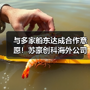 与多家船东达成合作意愿！苏豪创科海外公司开业