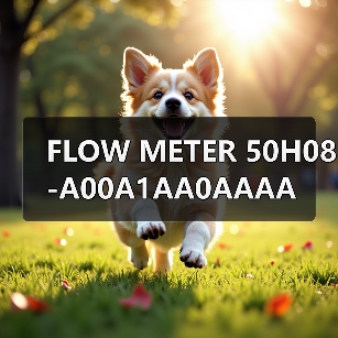FLOW METER 50H08-A00A1AA0AAAA(图3) FLOW METER 50H08-A00A1AA0AAAA(图3)