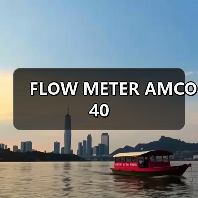 FLOW METER AMCO 40（图2）