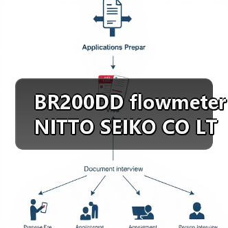 BR200DD flowmeter NITTO SEIKO CO LTD(图4) BR200DD flowmeter NITTO SEIKO CO LTD(图4)