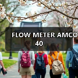 FLOW METER AMCO 40（图1）