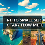 NITTO SMALL SIZE ROTARY FLOW METER（图4）