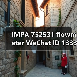 IMPA 752531 flowmeter WeChat ID 133386138Email: mingrunship@163.com（图2）