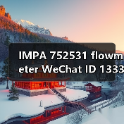 IMPA 752531 flowmeter WeChat ID 133386138Email: mingrunship@163.com（图4）