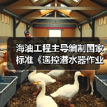 海油工程主导编制国家标准《遥控潜水器作业规程》发布（图2）