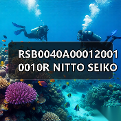 RSB0040A000120010010R NITTO SEIKO CO.,LTD.WeChat ID 13336686138Email: mingrunship@163.com（图2）