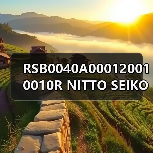 RSB0040A000120010010R NITTO SEIKO CO.,LTD.WeChat ID 13336686138Email: mingrunship@163.com（图4）