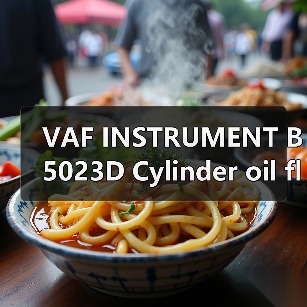 VAF INSTRUMENT B5023D Cylinder oil flow meter WiChat ID 133386138Email: mingrunship@163.com（图4）