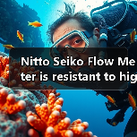 Nitto Seiko Flow Meter is resistant to high temperature and high viscosity. Email: mingrunship@163.com(图1) Nitto Seiko Flow Meter is resistant to high temperature and high viscosity. Email: mingrunship@163.com(图1)