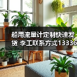 船用流量计定制快速发货 李工联系方式13336686138(图4) 船用流量计定制快速发货 李工联系方式13336686138(图4)